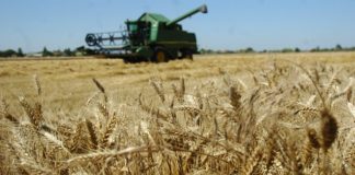 ROMÂNIA TACE, UNGARIA AVERTIZEAZĂ: După 2027 bugetul european al agriculturii va fi redus, iar banii vor fi dați Ucrainei
