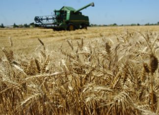 ROMÂNIA TACE, UNGARIA AVERTIZEAZĂ: După 2027 bugetul european al agriculturii va fi redus, iar banii vor fi dați Ucrainei