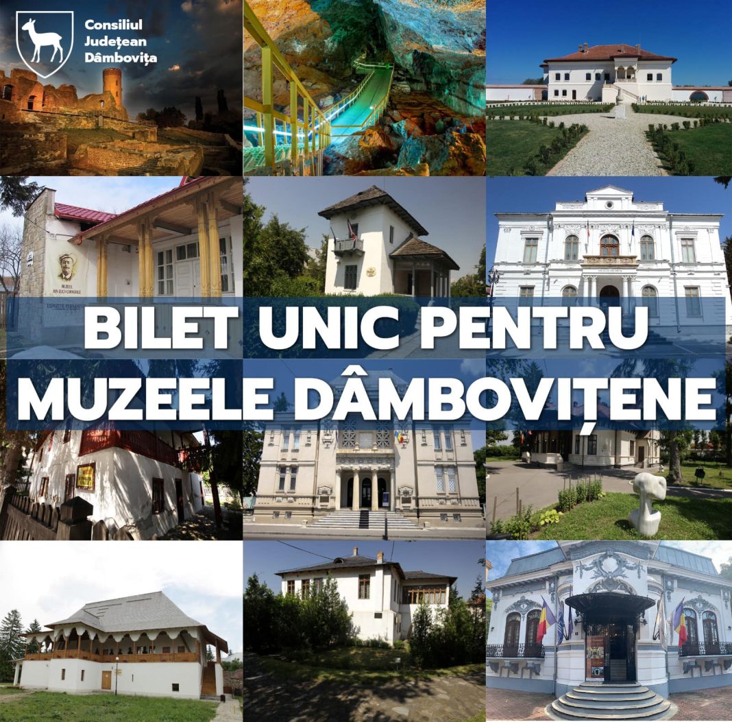 Cu un singur bilet în 16 muzee din Dâmbovița, printre care Curtea Domnească, Casele Caragiale și Gheorghe Petrașcu și Peștera Ialomiței
