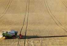 Fermierii români împotriva UE: Ne-ar face dependenți de companiile multinaționale din industria biotehnologiilor și semințelor industriale