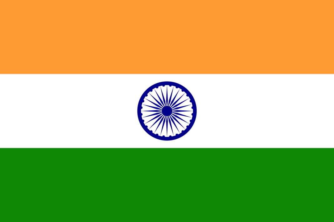 Șoferii profesioniști indieni câștigă in România până la 3000 de euro lunar