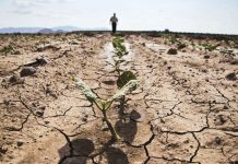 Organizația Națiunilor Unite pentru Alimentație și Agricultură: Criza din Hormuz va provoca o catastrofă în agricultură