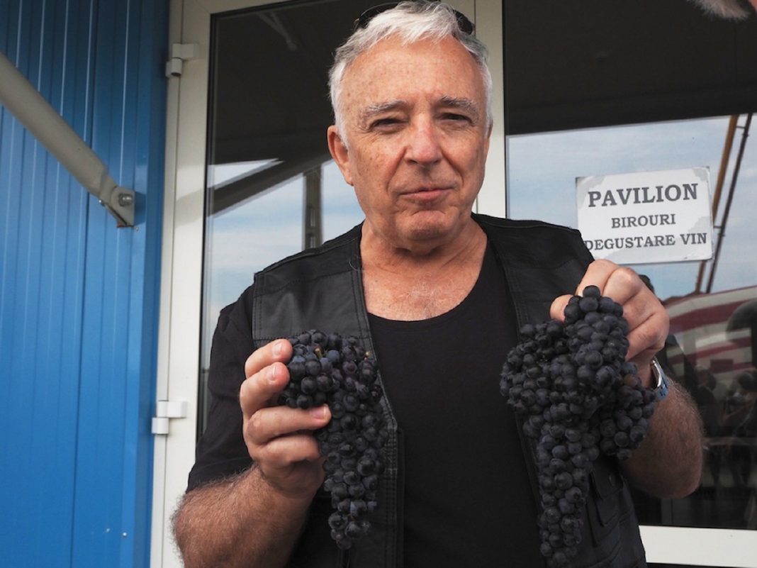 Oficial BNR explică că „semnificaţia mesajului cu ceaiul de tei este una mult mai profundă”