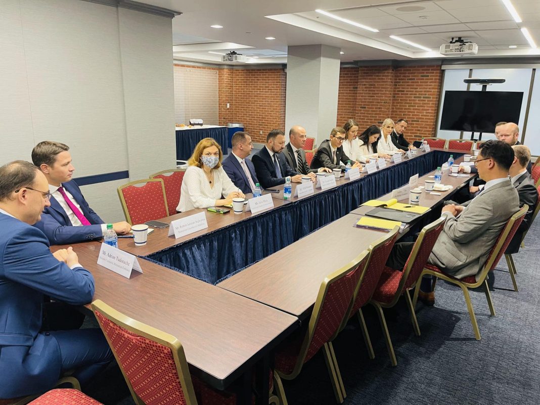 Deputata Horga în SUA: Am dori creșterea investițiilor americane în România