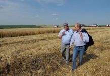 În timp ce Bolo vrea impozitarea serelor, Rusia pregătește un program pentru alimentarea autonomă a serelor, fermelor și fabricilor de procesare, costurile cu energia fiind reduse cu 50%