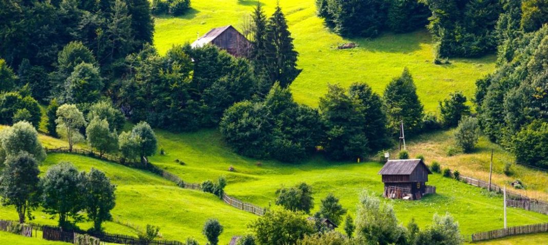 Premierul Ciucă: Industria HoReCA trebuie sprijinită, mai ales că are potenţialul de creştere economică rapidă. Îmi doresc ca procentul de 10% din PIB-ul României să fie atins cât de curând de reprezentanţii din aceste sectoare