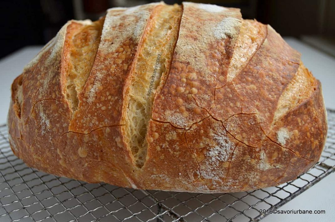 Războiul din Ucraina și seceta scumpesc pâinea