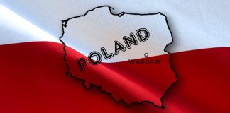Polonia are circa 15 companii producătoare de alimente în topul celor mai mari jucători din Europa Centrală şi de Est, în timp ce România nu are nici unul