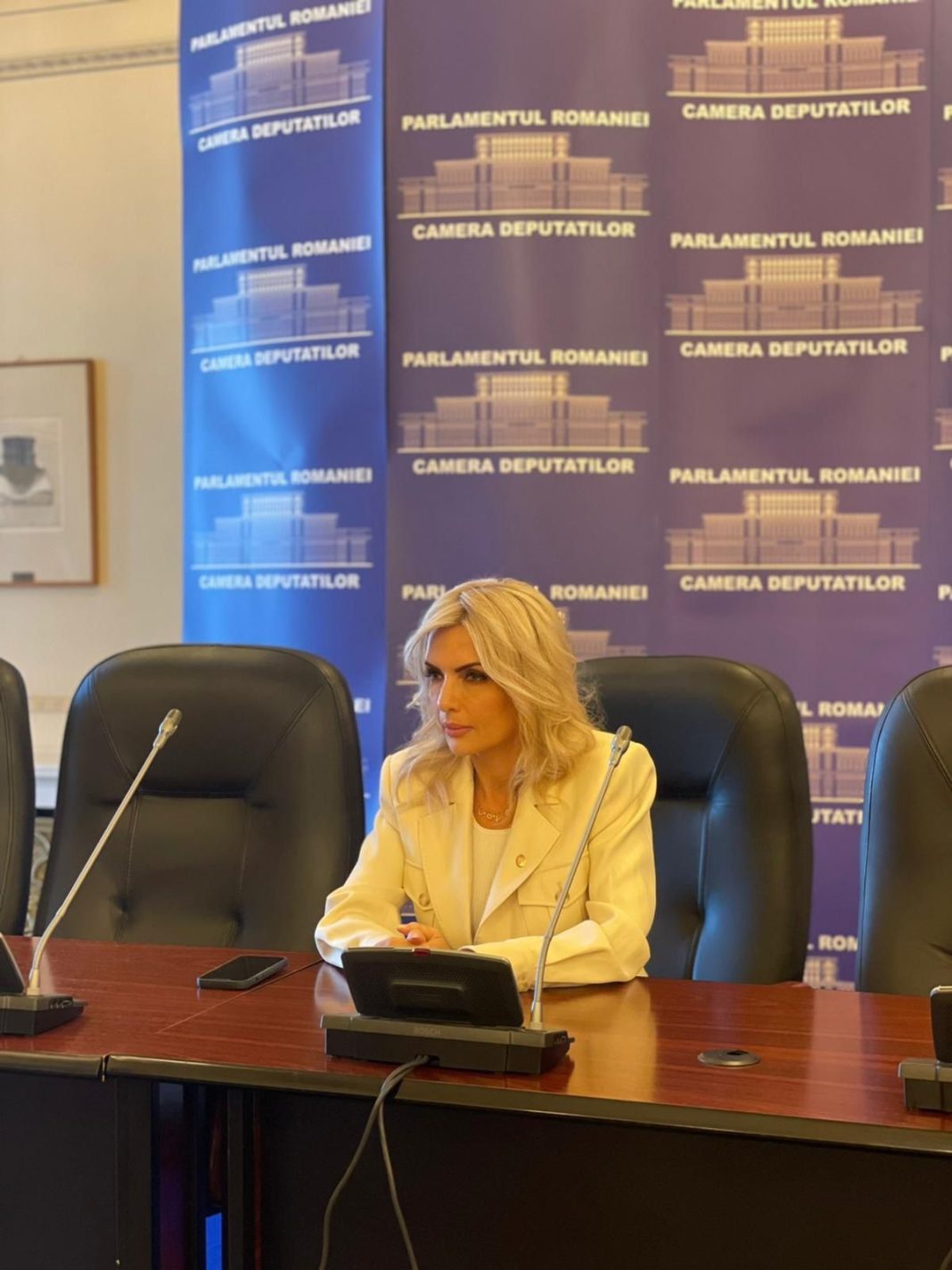 Laura Vicol: Fiecare colțișor din țara asta, și Transilvania și Dobrogea, și Nordul Moldovei și Banatul sunt exemple ale înțelegerii între toți românii, indiferent de etnia lor