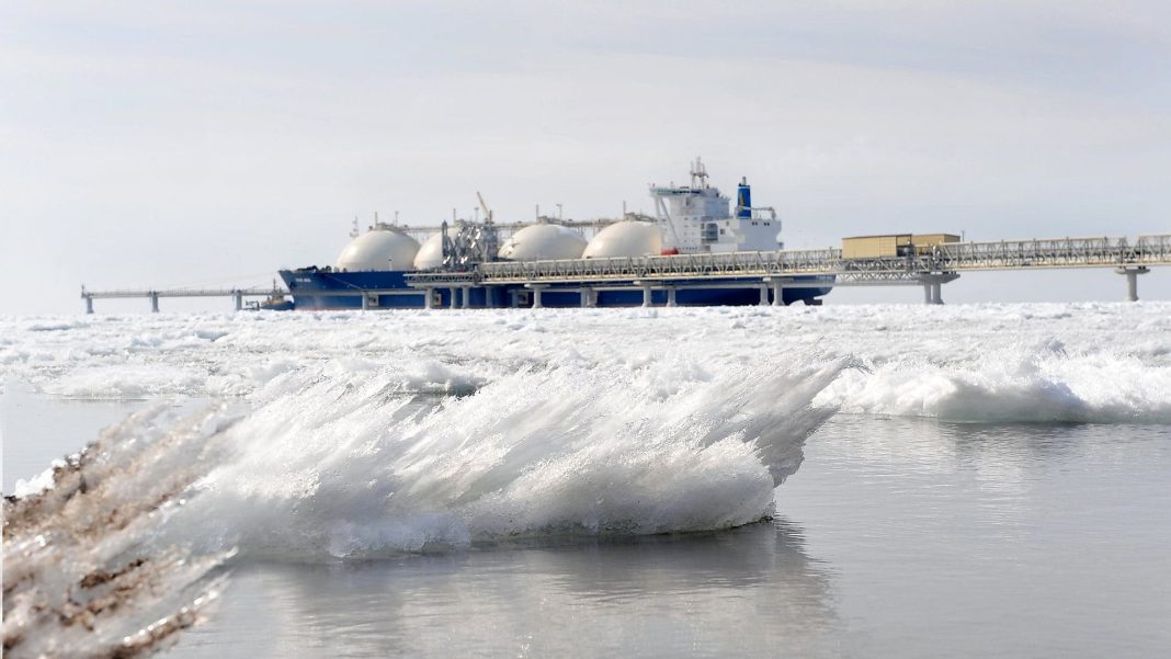 Cel mai mare producător de energie electrică din Japonia merge cu rușii