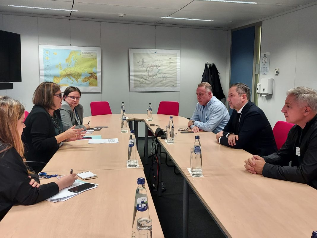 Europarlamentarul Dan Motreanu cu comisarul european Adina Vălean despre proiectele pe Dunăre