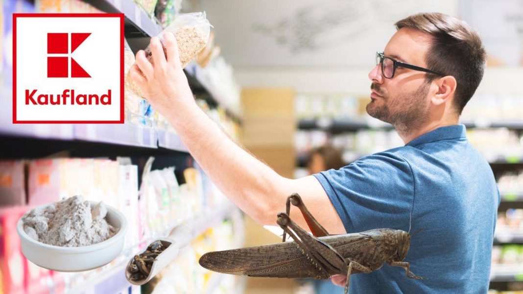Kaufland a declarat că din 2019 vinde „diverse produse alimentare cu insecte”. Industria germană spune că companiile alimentare binecunoscute adaugă de multă vreme extracte de insecte sau excremente ale acestora în produsele lor
