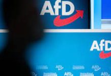 Șeful Gazprom s-a întâlnit cu unul din liderii AfD