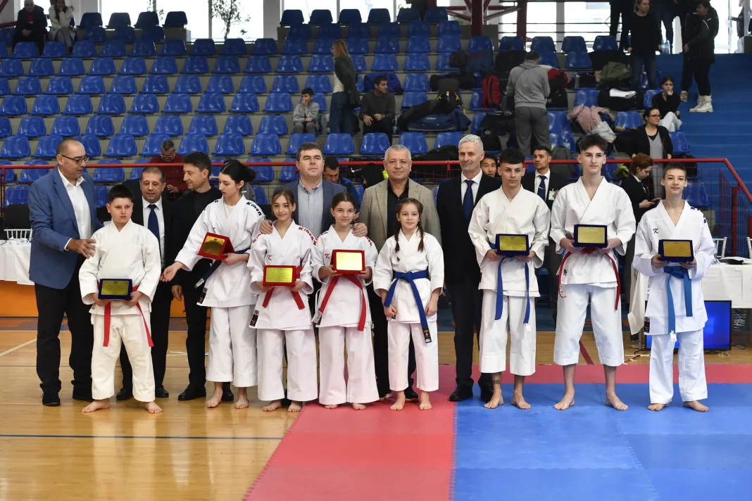 CONSILIUL JUDEȚEAN MEHEDINȚI PREMIAZĂ PERFORMANȚA