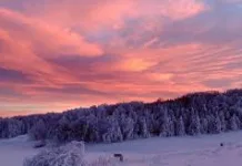 Șeful CJ Caraș Severin cere Guvernului să sprijine realizarea domeniului schiabil Semenic la fel cum a făcut-o fostul ministru PSD al Economiei