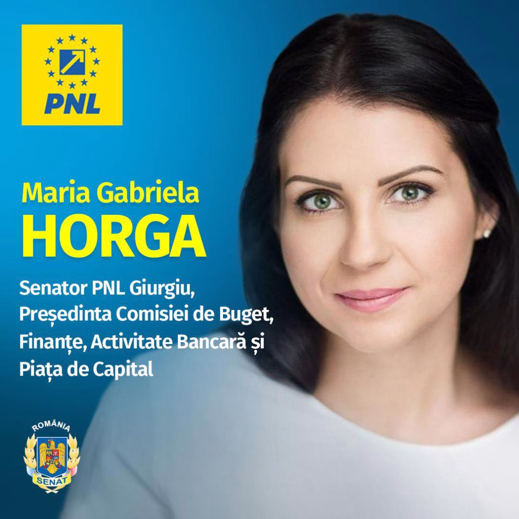 Senatoarea Horga: Proiectele de lege contestate de extremiști urmăresc întărirea apărării României și descurajarea oricăror agresiuni