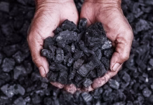 Putin: Fără gaz rusesc ieftin, țările europene vor fi obligate să redeschidă centralele nucleare și pe cărbune