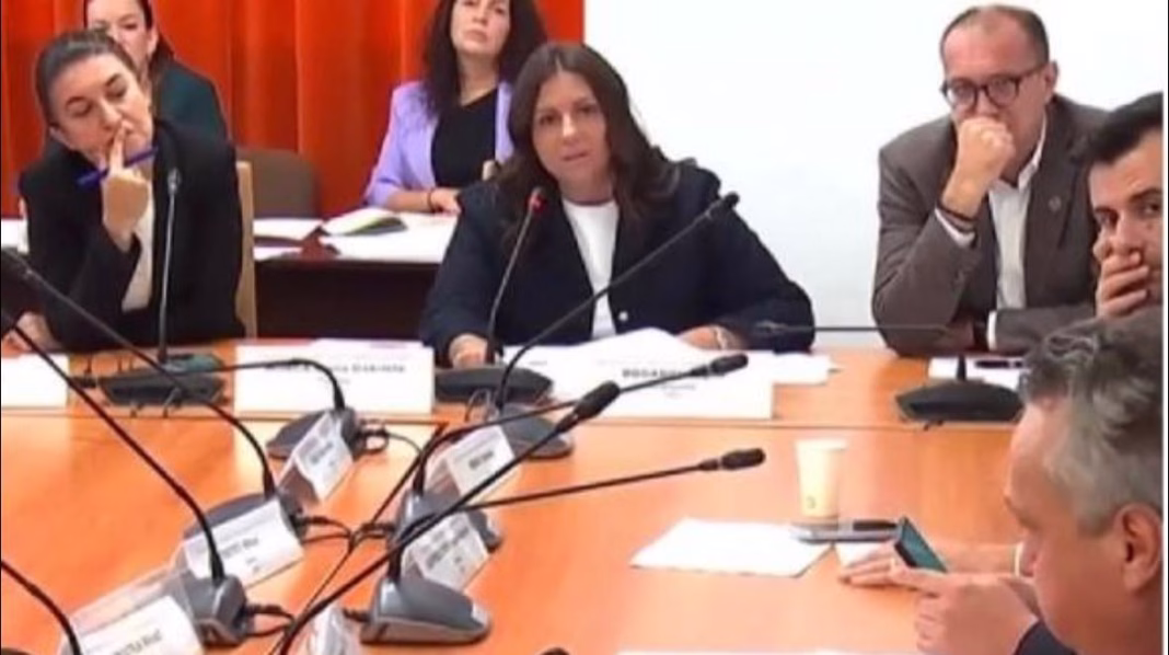 Senatoarea Horga: Puțini politicieni și-au dorit să ajungem în acest moment favorabil