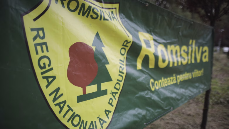 Guvernul a învins la Romsilva: Bugetul pentru funcții de conducere scade cu 8,2%, bonusurile cu 57%