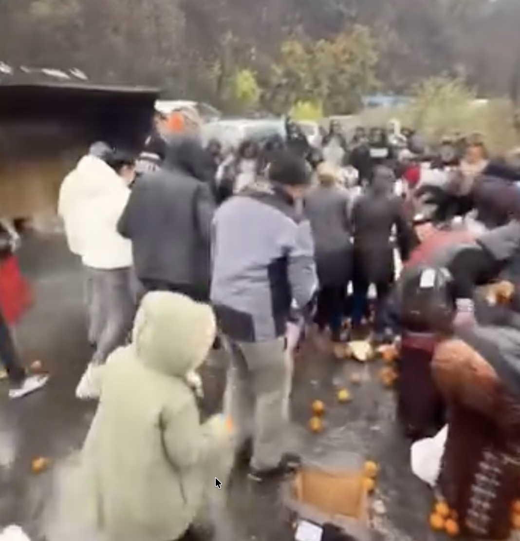 VIDEO: Cum a fost jefuit de localnici un TIR in Mehedinți