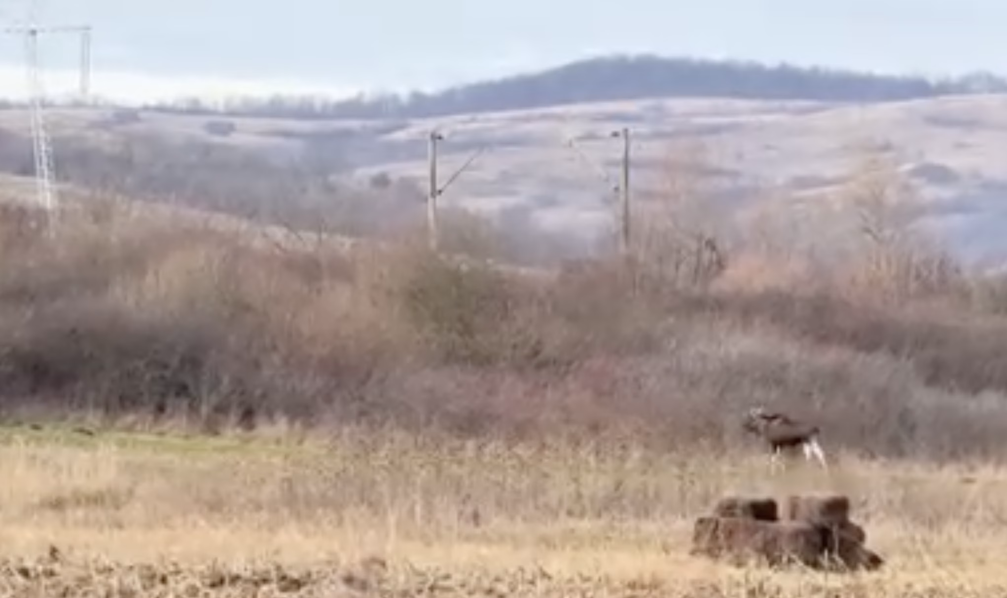 Captură de ecran din 2025-12-10 la 19.33.08