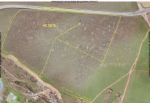 Primul parc industrial al municipiului Drobeta-Turnu Severin! Teren de 12,5 hectare obținut din proprietatea Agenției Domeniilor Statului