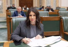 Senatoarea Horga: Opoziția PSD la reforma administrativă a dus la amânarea pachetului de relansare economică