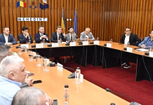 FINANȚĂRI DE PESTE 26 MILIOANE LEI PENTRU MODERNIZAREA ILUMINATULUI PUBLIC ÎN MEHEDINȚI