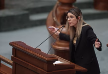 CJ Hunedoara cere demisia ministresei de la Mediu