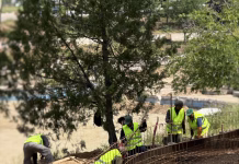 Superbul parc Aluniș din Drobeta Turnu Severin prinde contur