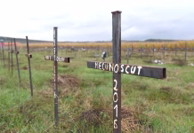 Peste 400 de morminte in Bihor in cazul care zguduie România. Bolojan și Dragoș Pîslaru ȘTIAU