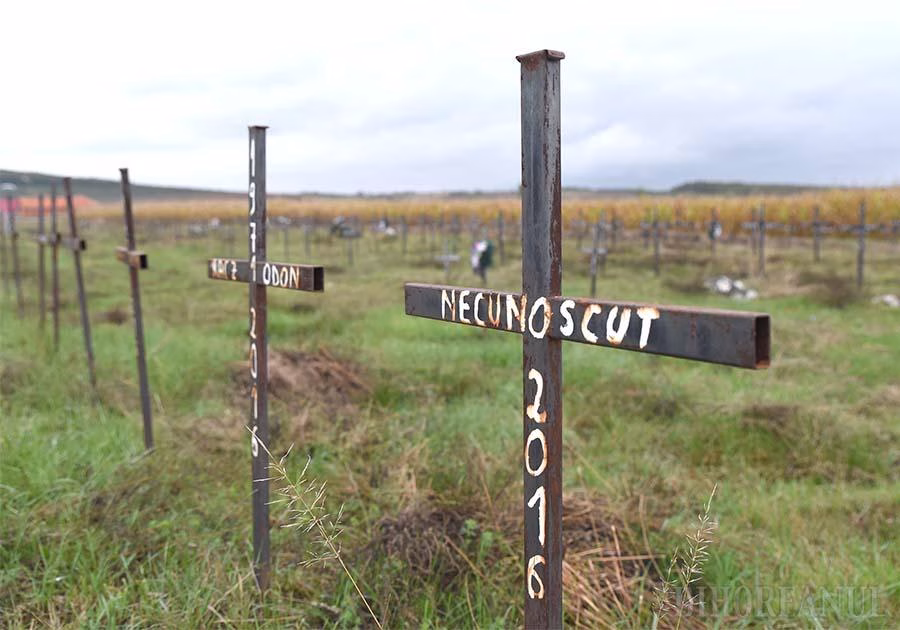Peste 400 de morminte in Bihor in cazul care zguduie România. Bolojan și Dragoș Pîslaru ȘTIAU Peste 400 de morminte in Bihor in cazul care zguduie România. Bolojan și Dragoș Pîslaru ȘTIAU