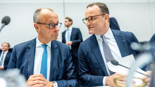 Scandalul cu mama surogat și rețeaua lui Peter Thiel dă foc conservatorilor germani Scandalul cu mama surogat și rețeaua lui Peter Thiel dă foc conservatorilor germani