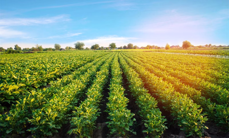 agricul