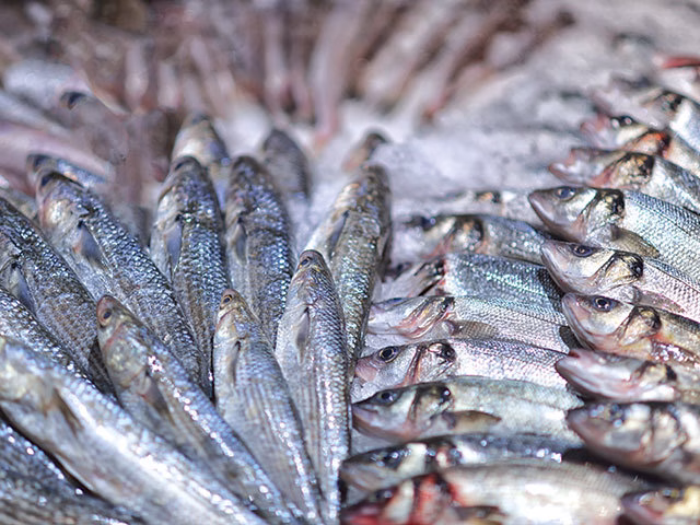 Avem Dunăre, mare, râuri, dar importăm peste 130.000 de tone de pește, iar producţia locală a scăzut la 9.500 de tone Avem Dunăre, mare, râuri, dar importăm peste 130.000 de tone de pește, iar producţia locală a scăzut la 9.500 de tone