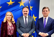 Gabriela Firea i-a transmis comisarului european pentru energie și locuire 20 de propuneri pentru rezolvarea crizei locuințelor