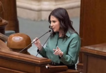 Senatoarea Horga: Se laudă zilele acestea PSD că a trecut prin Senat o lege „pentru români”. Marea realizare? O nouă promisiune înșelătoare
