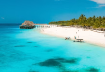 Unul din „comunicatorii” lui Bolo a plecat in Zanzibar